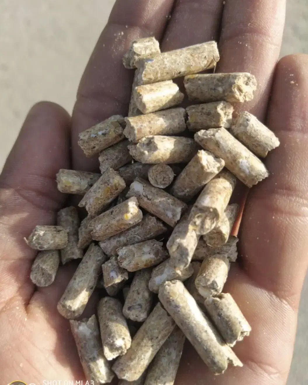 خوراک دام پرواری گوسفندی|لوازم جانبی حیوانات|شیراز, شهرک صنعتی شیراز|دیوار