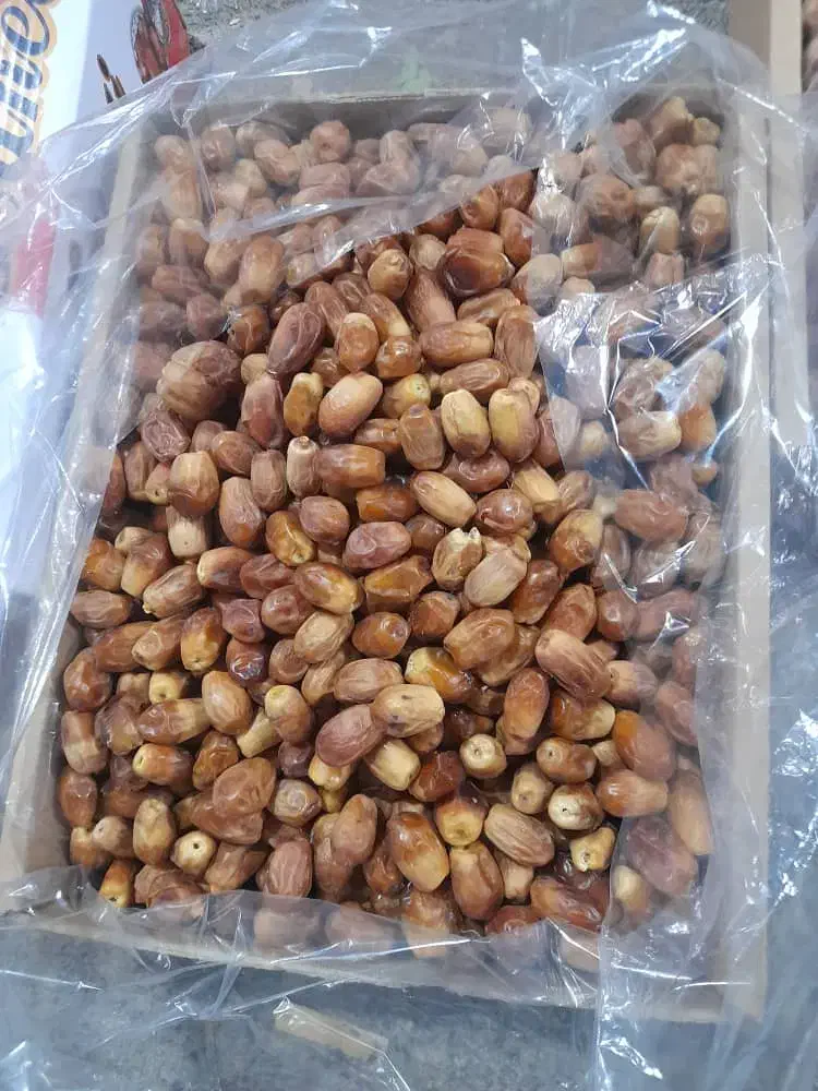 فروش خرما زاهدی|خوردنی و آشامیدنی|نیشابور, شهرک رسولی|دیوار