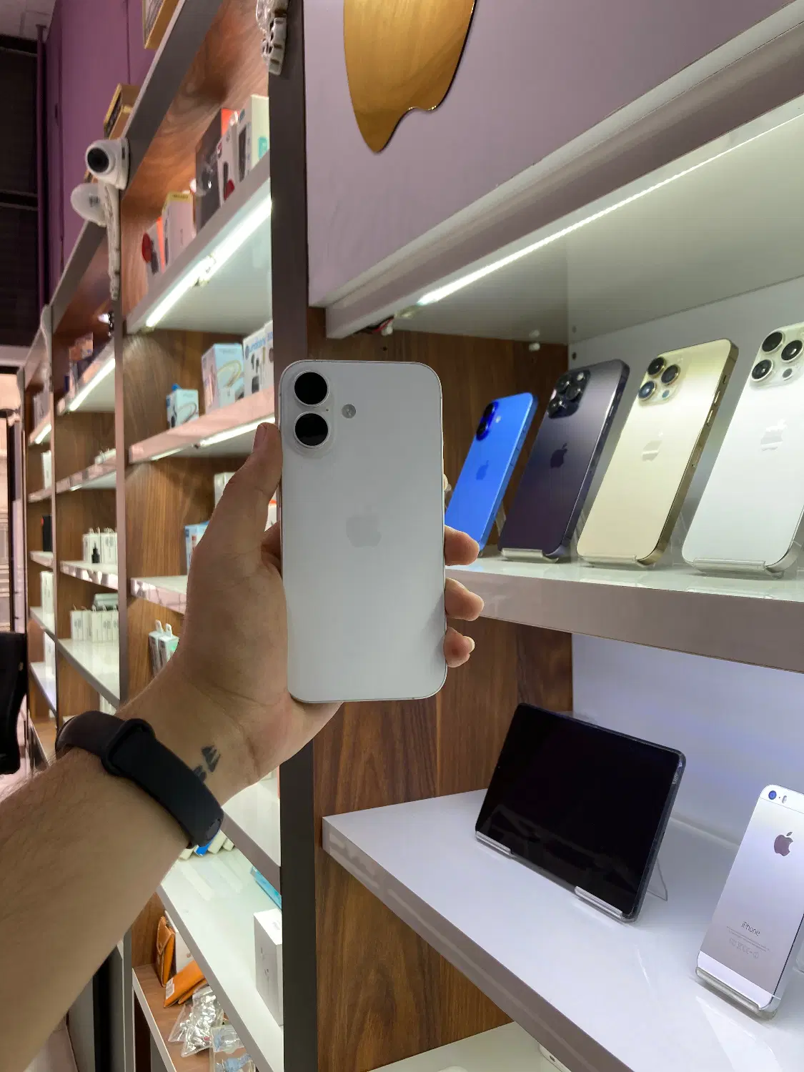 iPhone 16 آیفون|موبایل|شیروان (خراسان), |دیوار