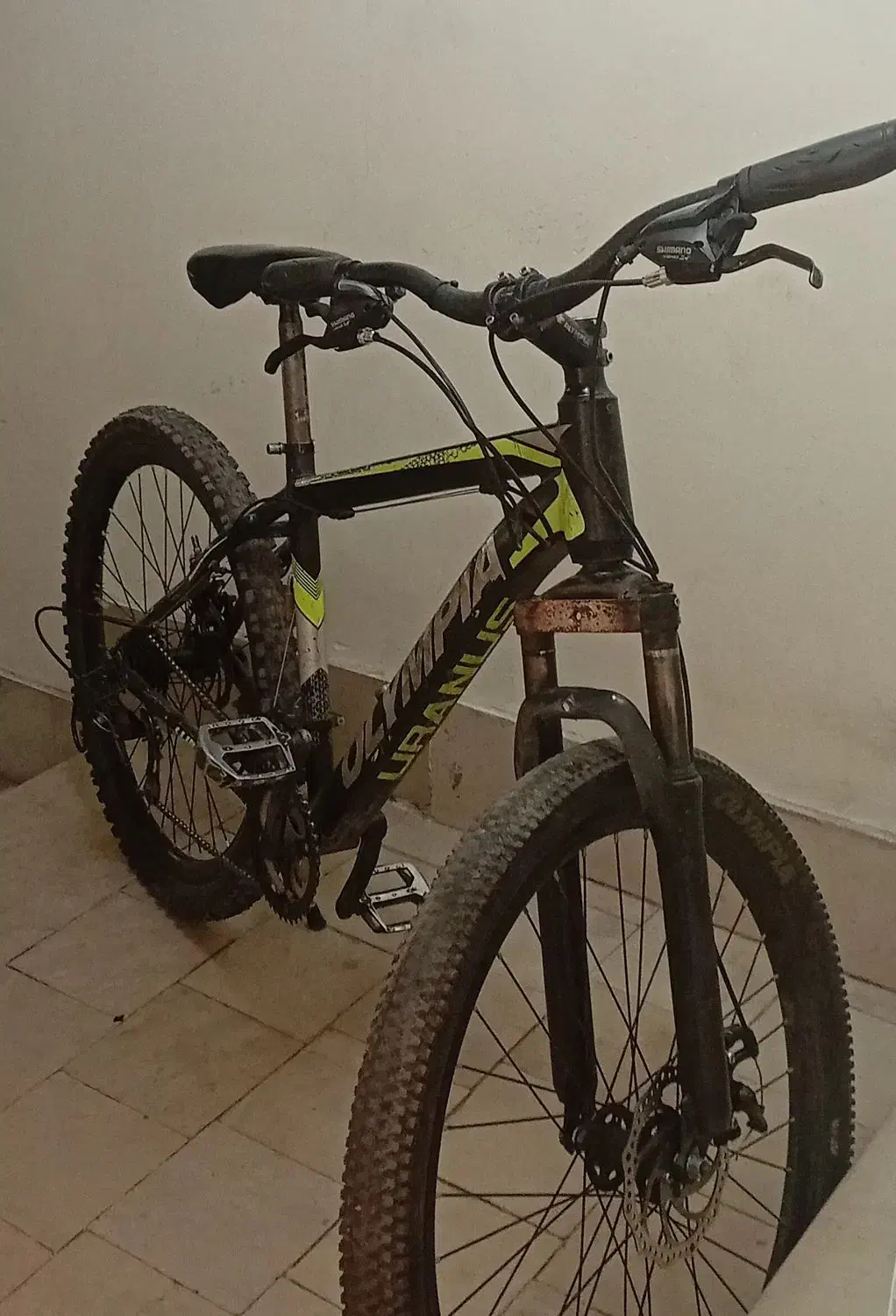 دوچرخه المپیا سایز 26|دوچرخه، اسکیت، اسکوتر|مشهد, رضاشهر|دیوار