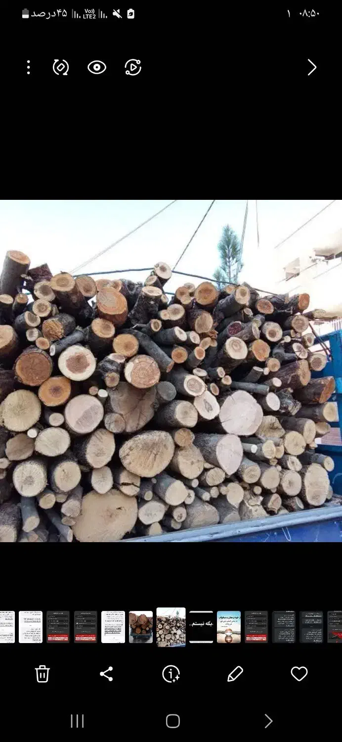 خریدچوب وهرس درختان|خدمات باغبانی و درختکاری|لنجان, |دیوار