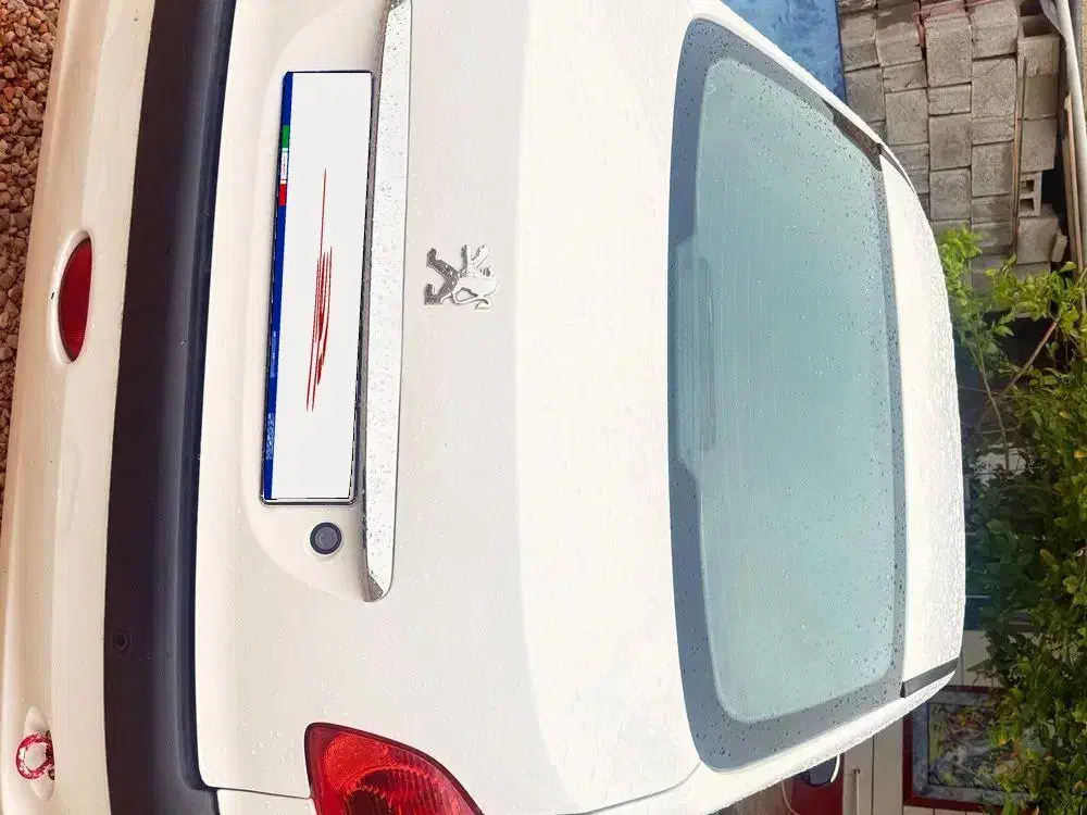 206 sd v8|خودرو سواری و وانت|بوشهر, |دیوار