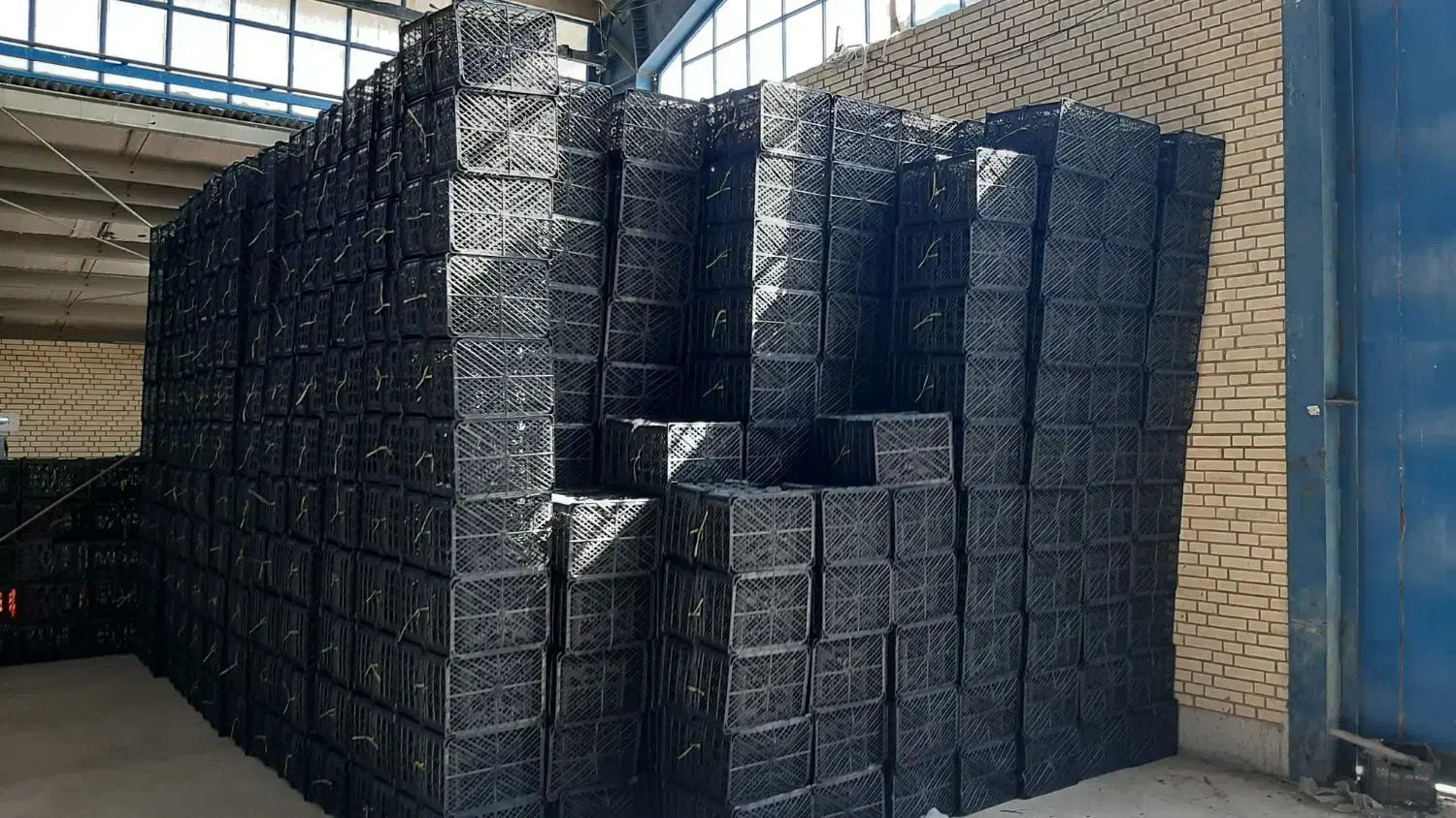 تولیدی سبد میوه و گوجه ۱۶ کیلویی|عمده‌فروشی|زرقان, |دیوار