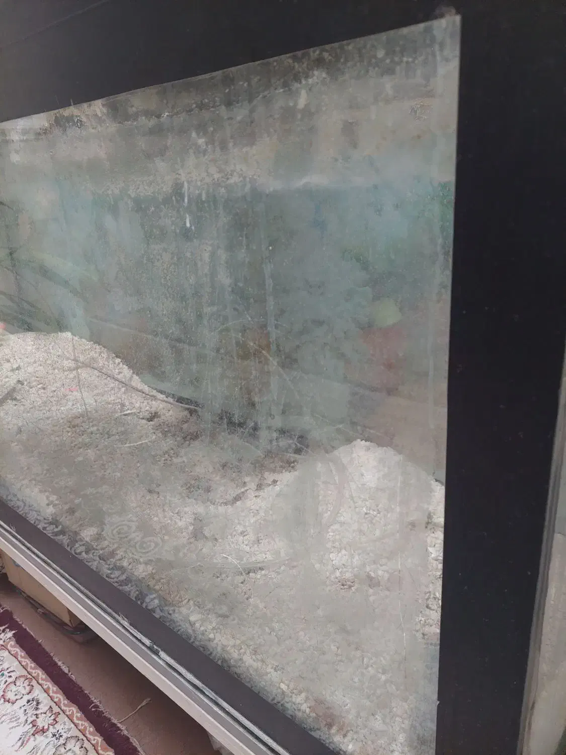 آکواریوم|ماهی|یزد, |دیوار