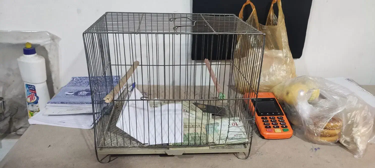 قفس پرنده|لوازم جانبی حیوانات|تهران, مسعودیه|دیوار