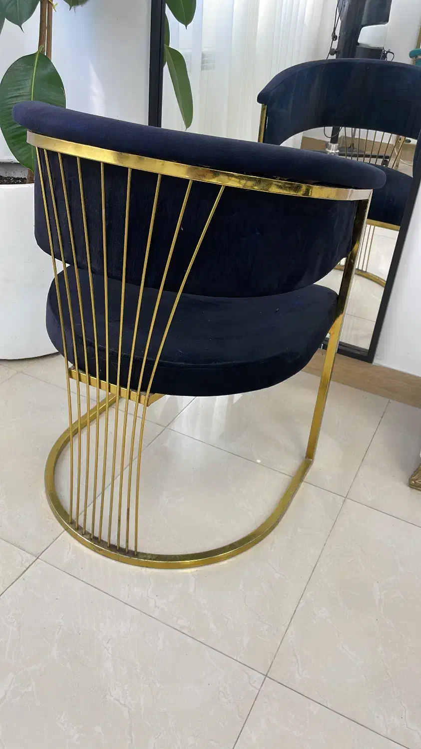 تجهیزات سالن|آرایشگاه و سالن‌های زیبایی|رشت, پارک شهر|دیوار