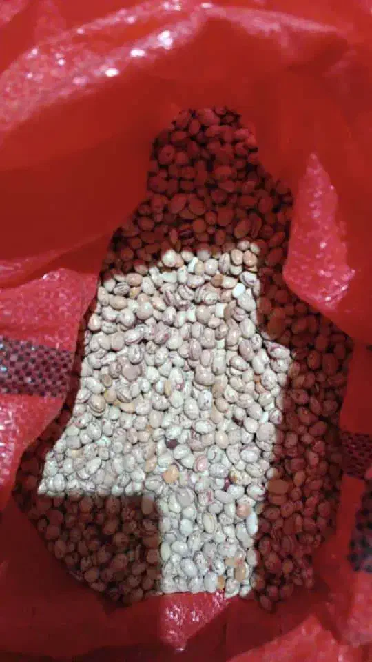 کشمش و لوبیا|خوردنی و آشامیدنی|یاسوج, |دیوار