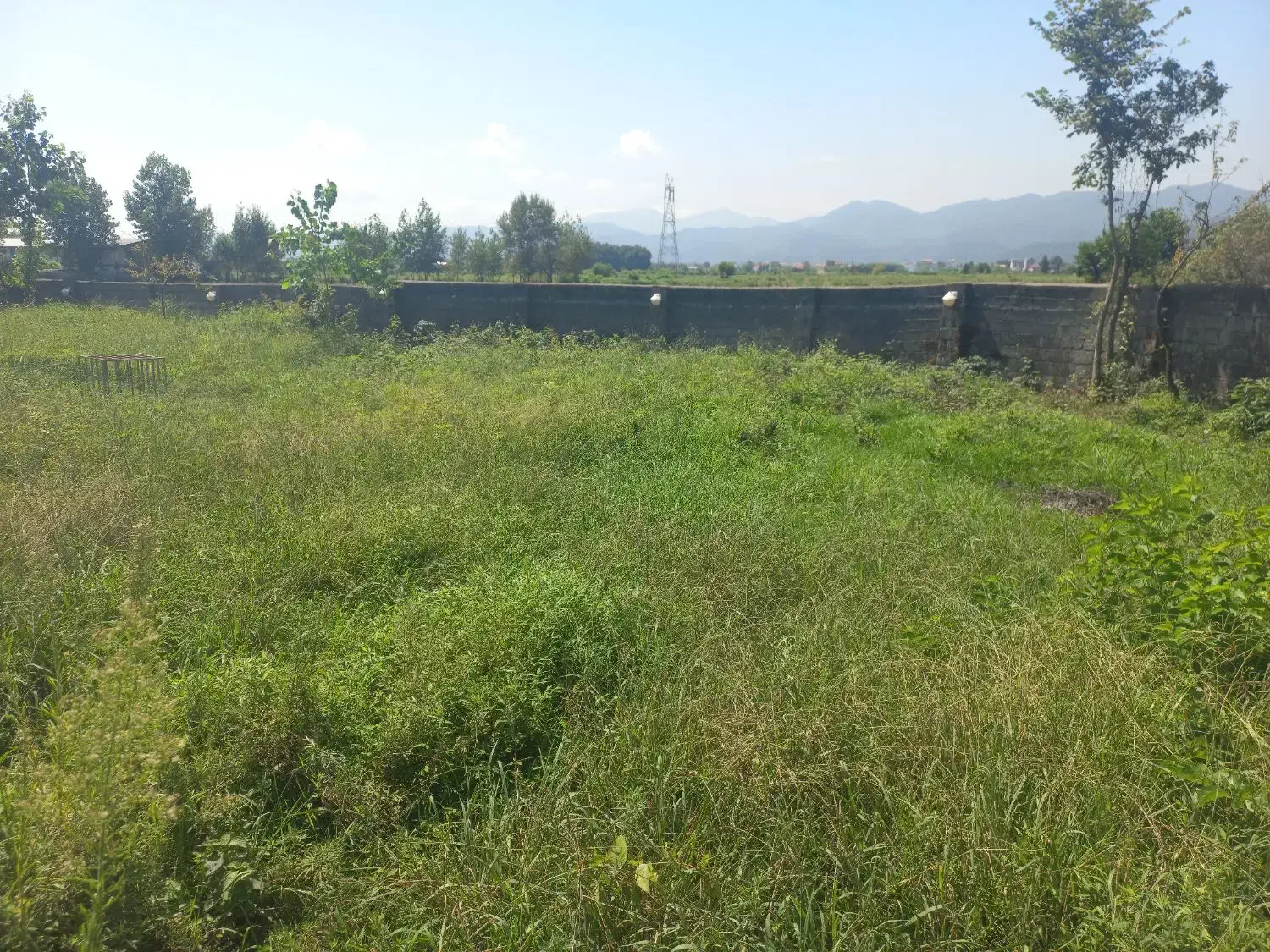 فروش ۴۲۱ متر زمین مسکونی روستای الکام لتوم پره سر|فروش زمین و ملک کلنگی|پره‌سر, |دیوار