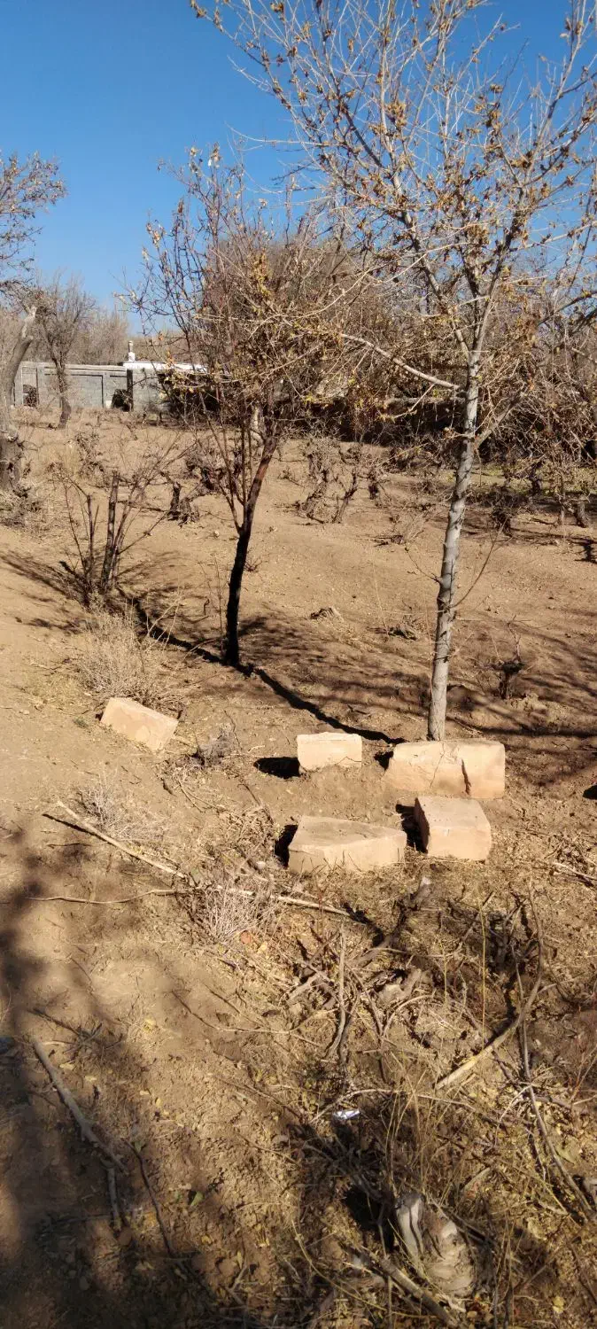 فروش باغ خوش جا با قیمت استثنایی|فروش زمین و ملک کلنگی|بهمن صغاد, |دیوار