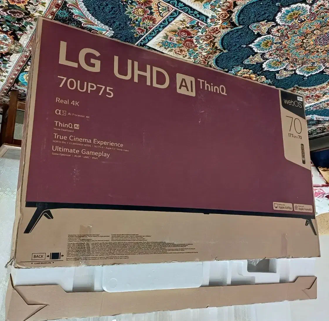 کارتون تلوزیون|تلویزیون و پروژکتور|اهواز, کوی باهنر|دیوار