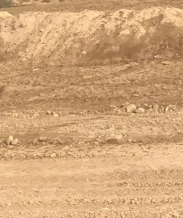 کارگر گوجه چین میخوام|استخدام خدمات فروشگاه و رستوران|بهبهان, |دیوار