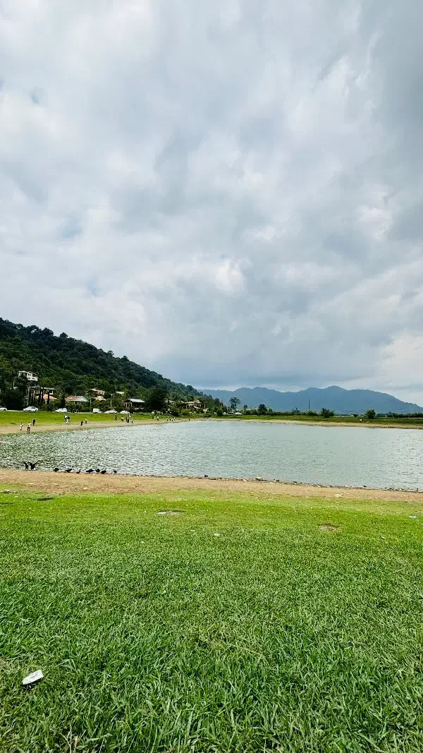 اجرای‌صفرتاصدساختمان،محوطه سازی باغ و احداث استخر|خدمات پیشه و مهارت|دوگنبدان, |دیوار