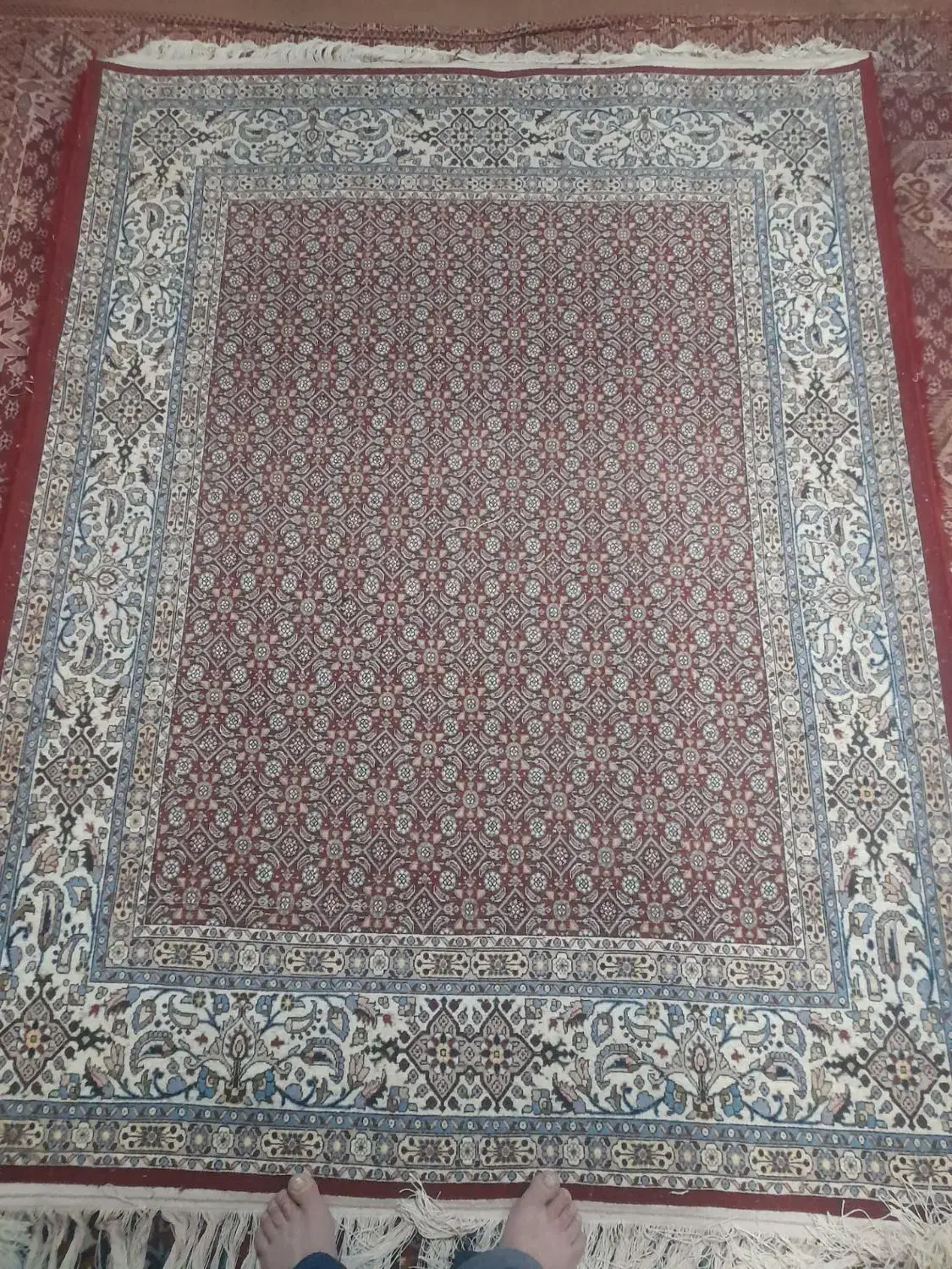 قالین دست بافت|فرش|بیرجند, |دیوار