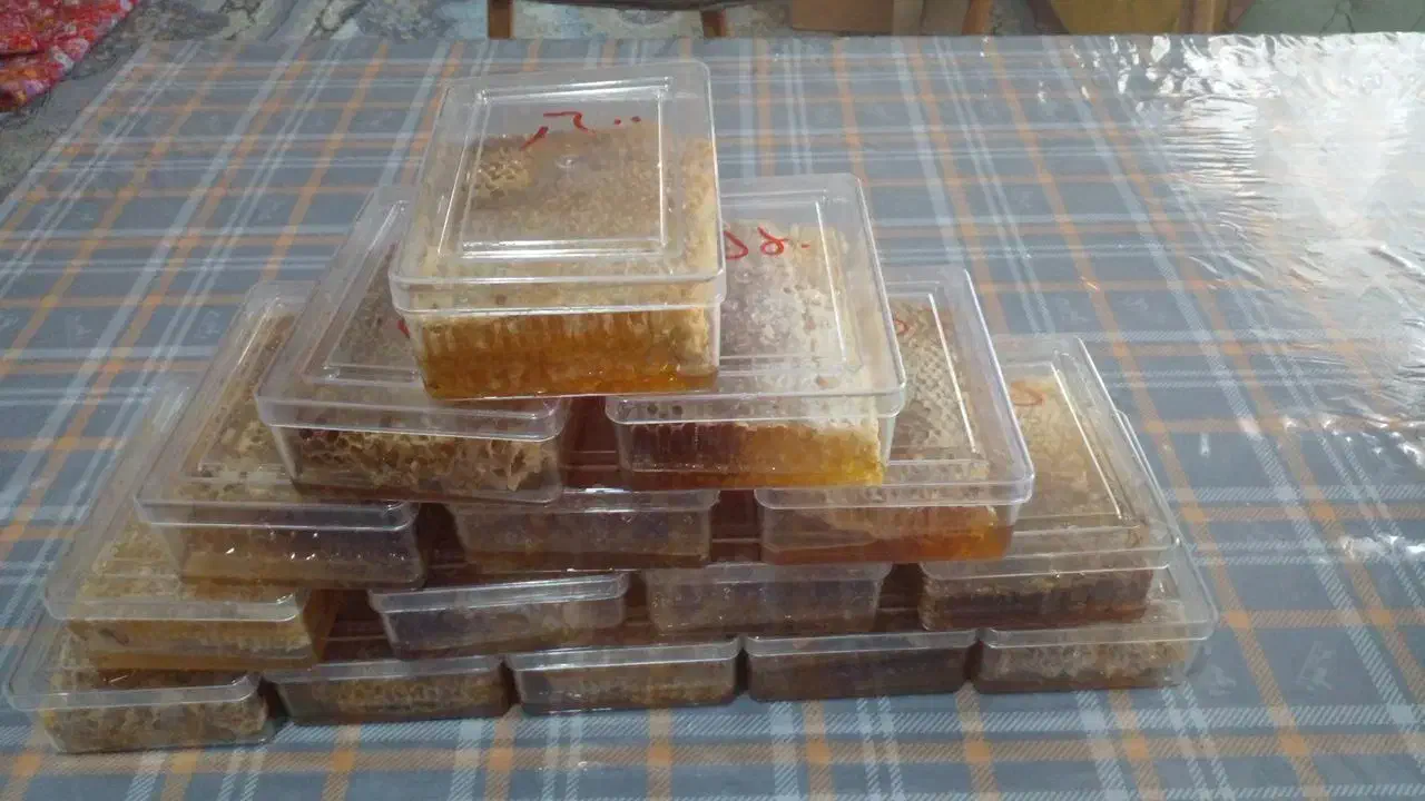 عسل سراب|خوردنی و آشامیدنی|رشت, هلال احمر|دیوار