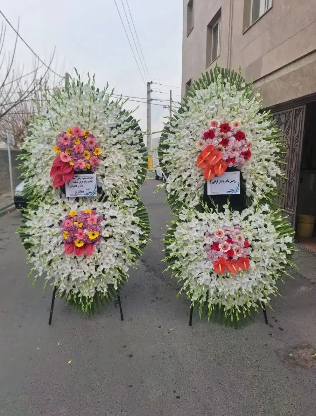 تاج گل درباری تبریک و ختمی در بازار گل امام رضا|گل و گیاه طبیعی|ری, بازار گل خاوران|دیوار