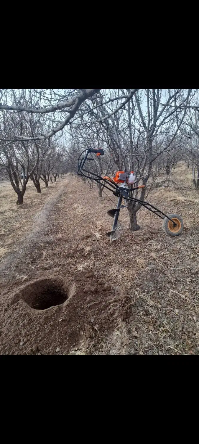 چاله کنی برای کاشت نهال|خدمات باغبانی و درختکاری|خسروشاه, |دیوار