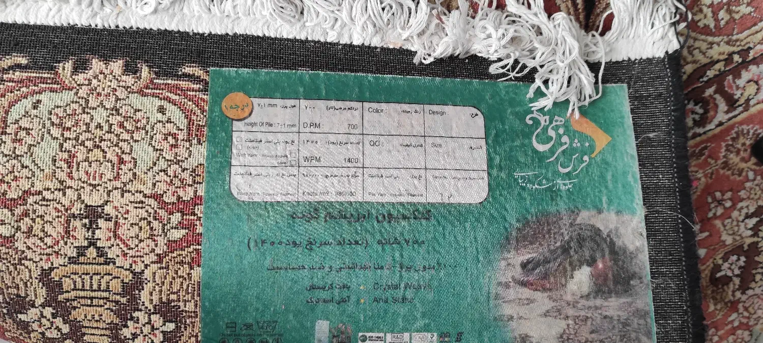 فروش فوری فرش 6 متری|فرش|ساری, |دیوار