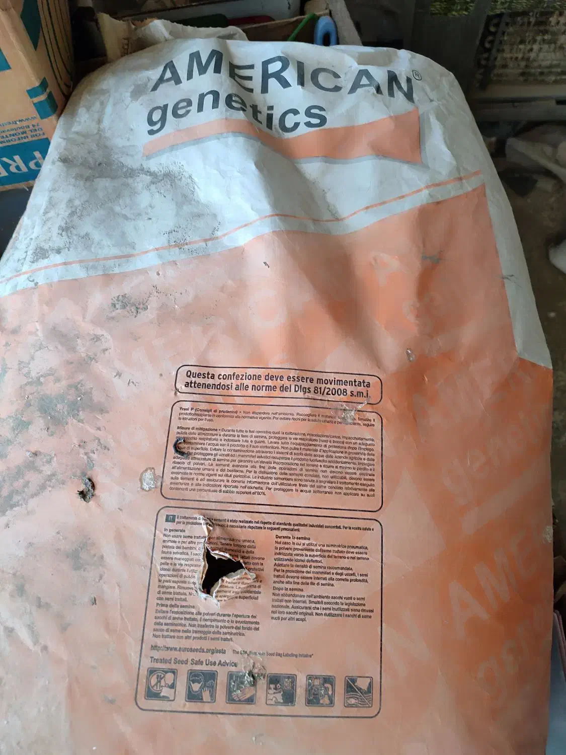 بذر نخود|گل و گیاه طبیعی|فارسان, |دیوار