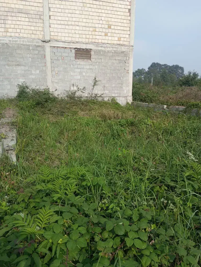 فروش زمین ۷۰ متری|فروش زمین و ملک کلنگی|رشت, کوی فکوری|دیوار