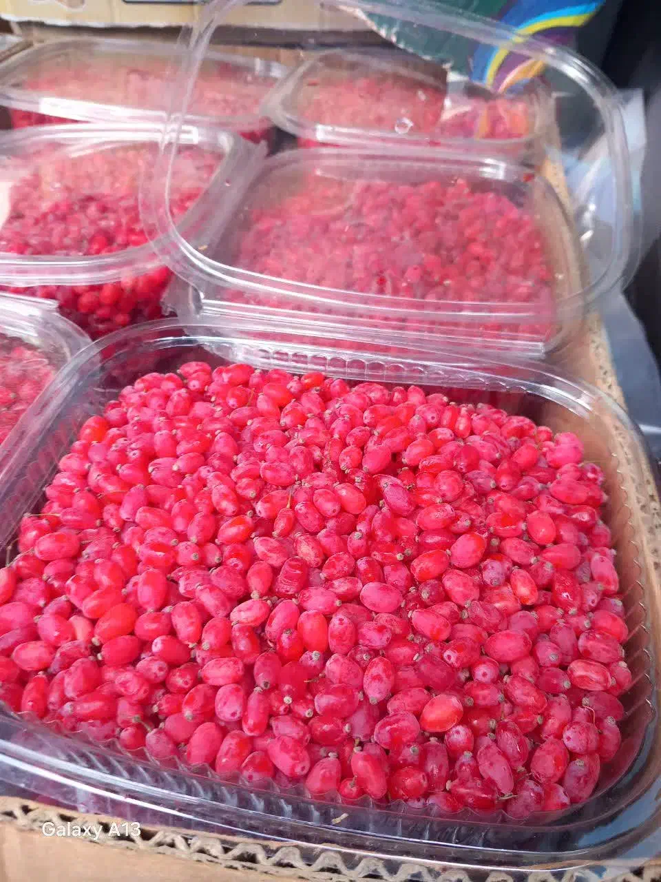 زرشک فقط امروزکیلویی 200|خوردنی و آشامیدنی|مشهد, شهرک بهارستان|دیوار