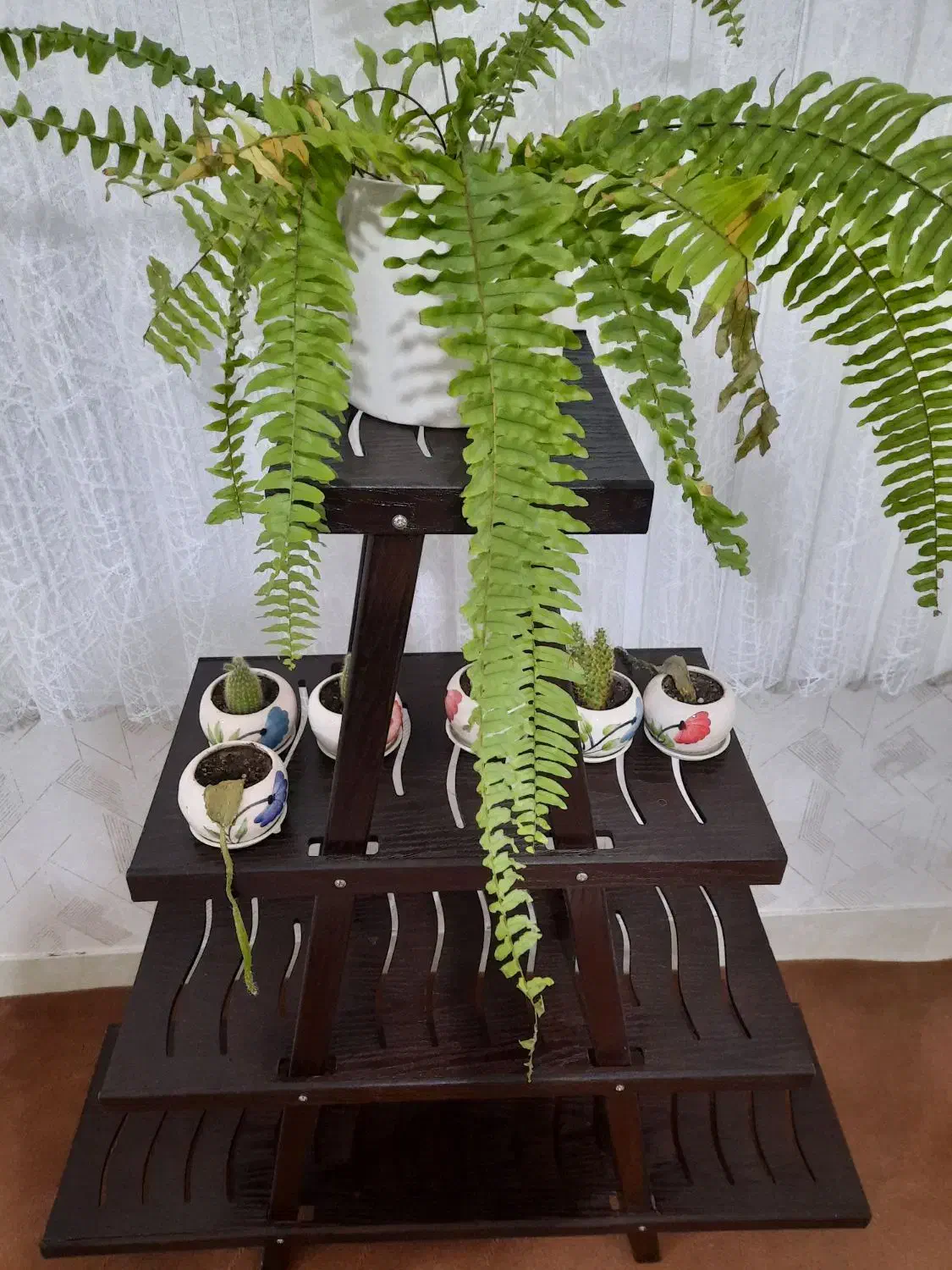 استند گل|کتابخانه، شلف، قفسه‌های دیواری|همدان, |دیوار