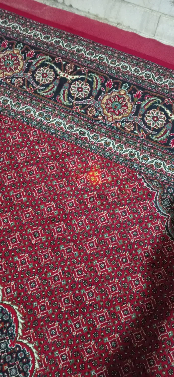 فرش فروشی 12 متری|فرش|فشاپویه, |دیوار