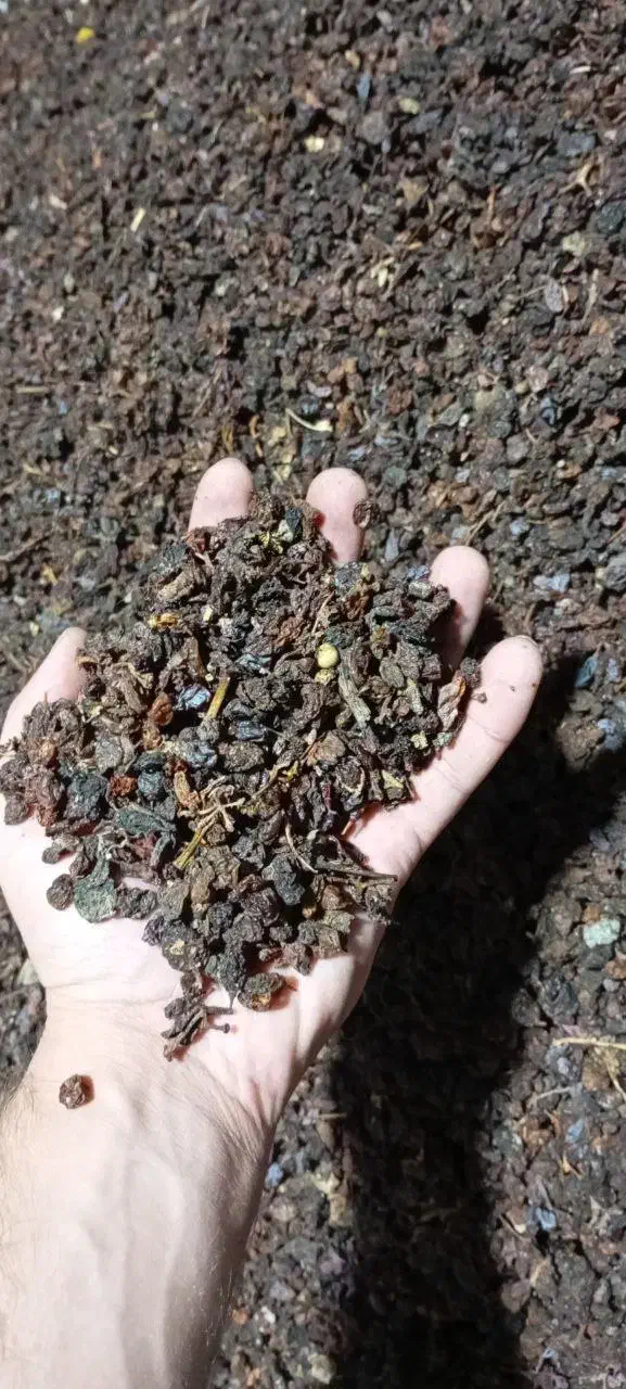 انواع کشمش|خوردنی و آشامیدنی|میاندوآب, |دیوار