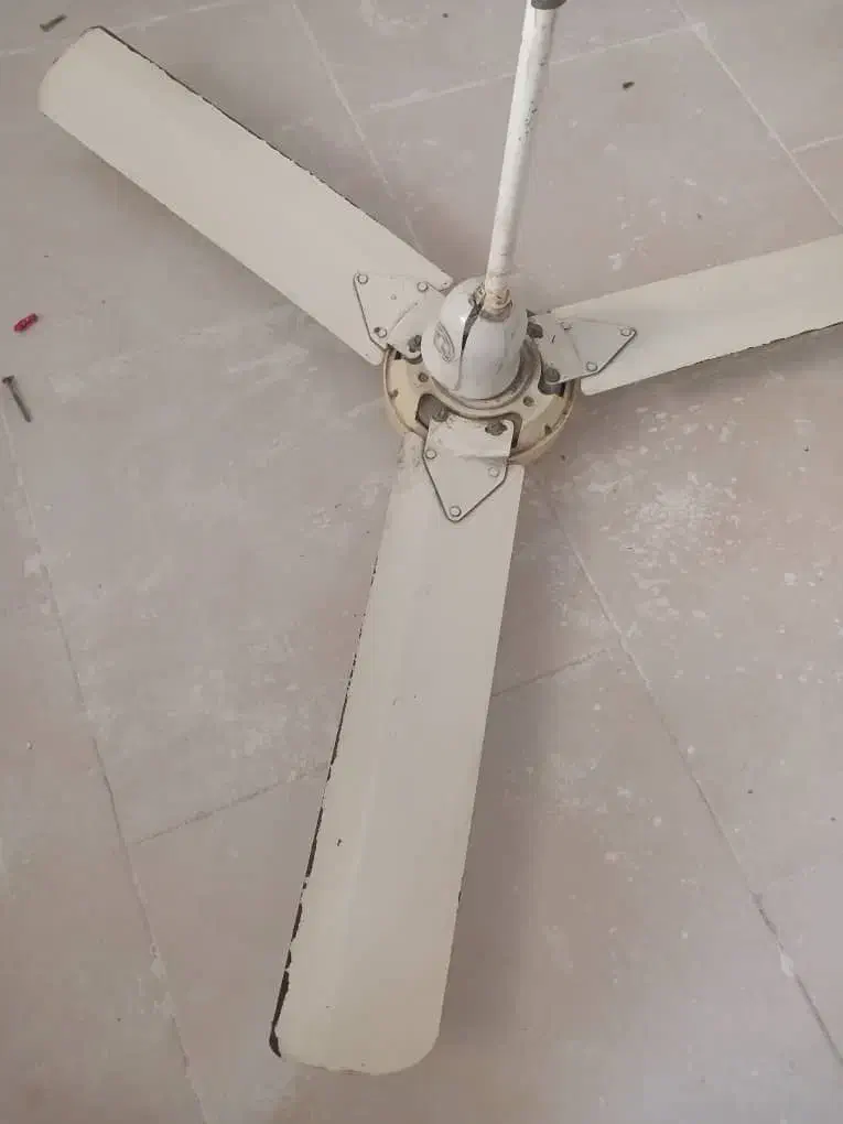 پنکه سقفی|پنکه و تصفیهکنندهٔ هوا|رشت, دیانتی|دیوار