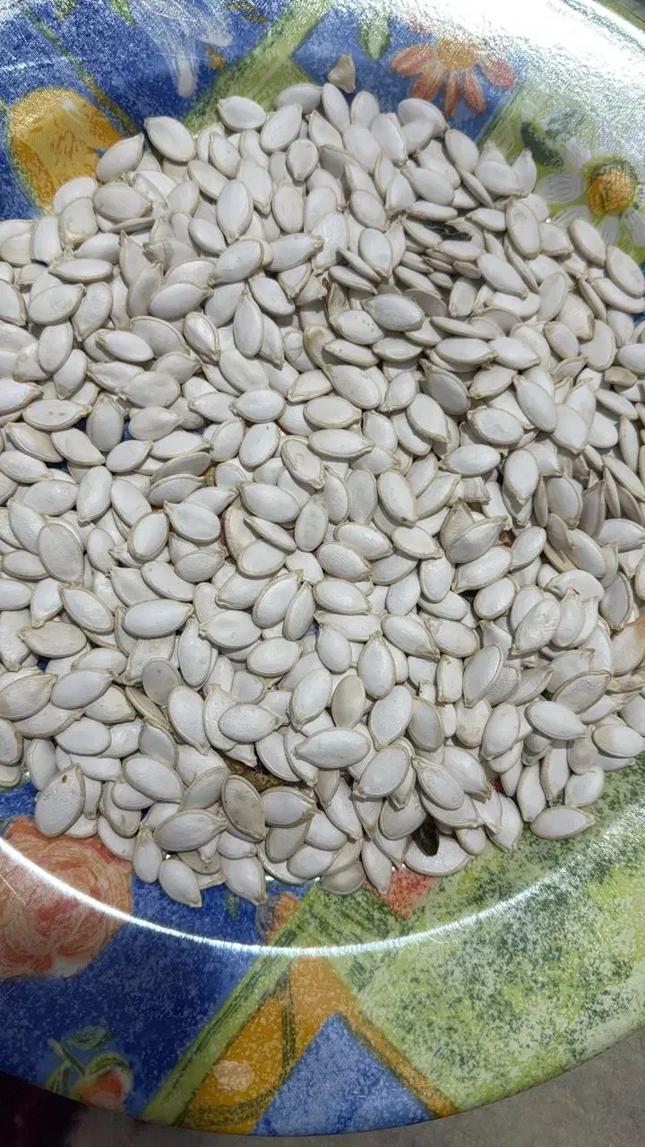 فروش تخمه مرمری یا صدفی|خوردنی و آشامیدنی|سده (فارس), |دیوار