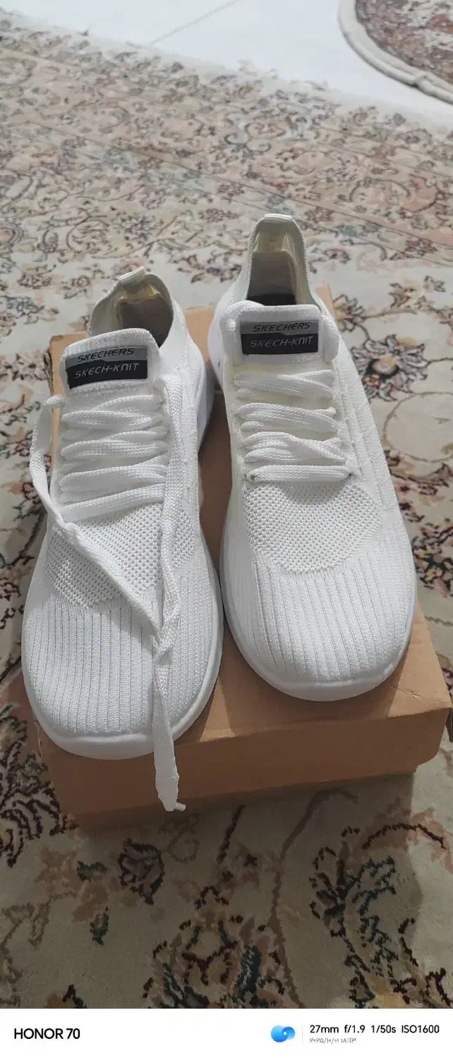 کتونی|کیف، کفش، کمربند|پرند, فاز ۶|دیوار