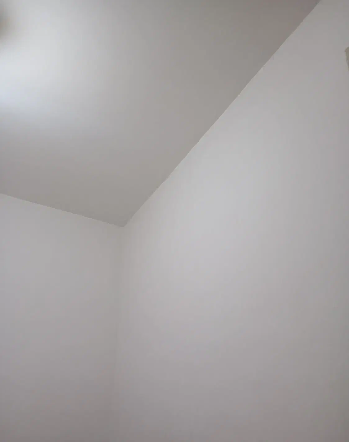 گچ کاری|خدمات پیشه و مهارت|سبزوار, امیر کبیر|دیوار