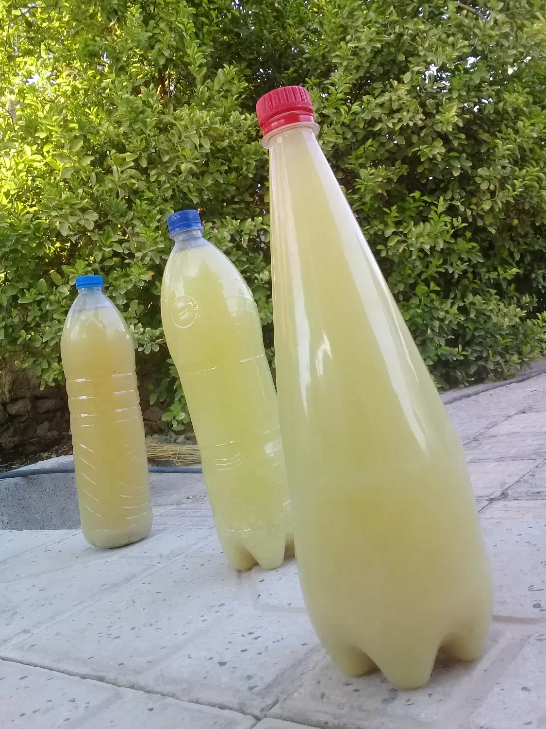 فروش آبلیمو طبیعی|خوردنی و آشامیدنی|قیروکارزین, |دیوار