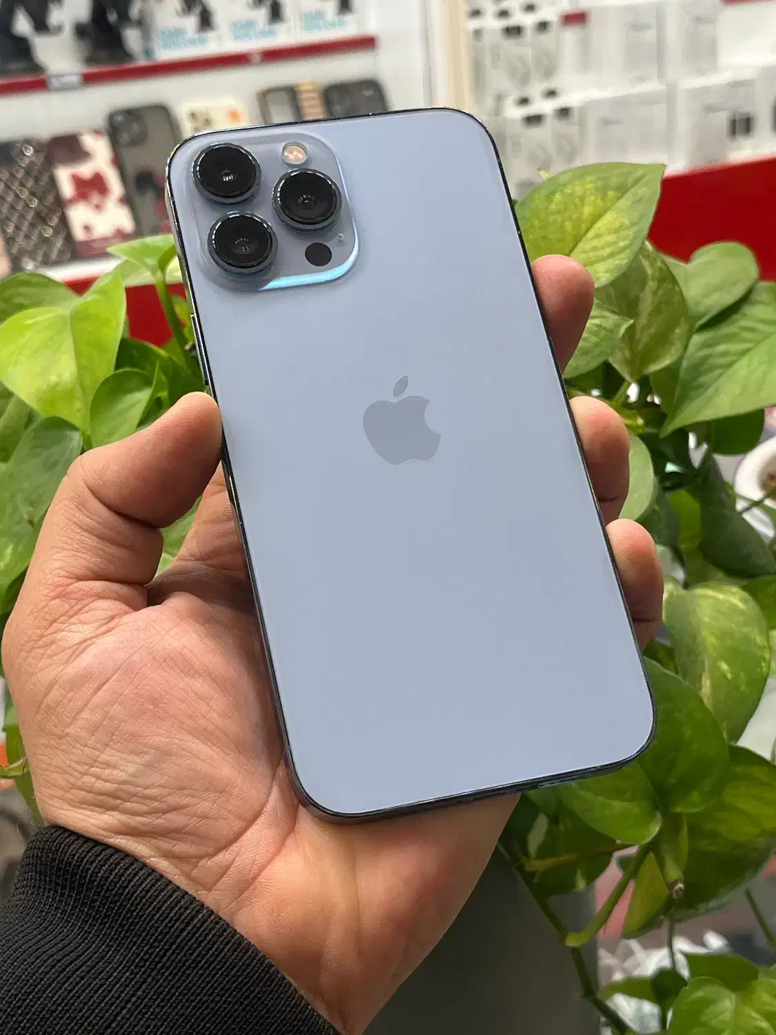 Iphone 13promax zaa|موبایل|شیراز, گود عربان|دیوار