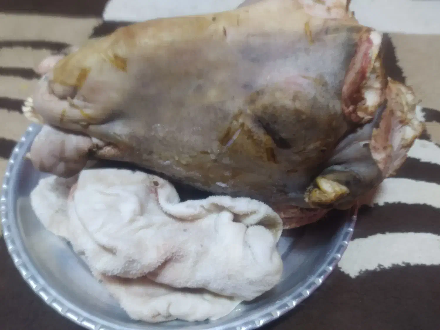 کله پاچه و سیرابی کامل گوسفند|خوردنی و آشامیدنی|فردیس, شهرک ۱۱۰|دیوار