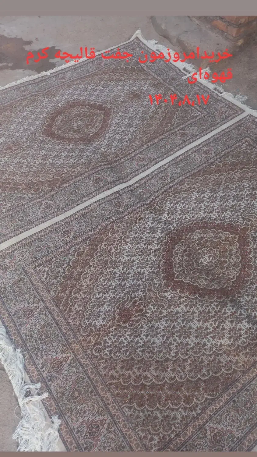 کرم قهوه‌ای رنگش روشن بافت خودم|فرش|ارومیه, |دیوار