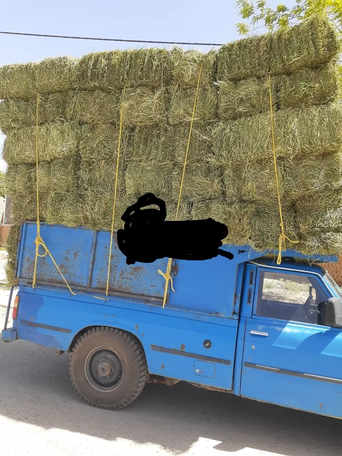 فروش یونجه|لوازم جانبی حیوانات|سلفچگان, |دیوار