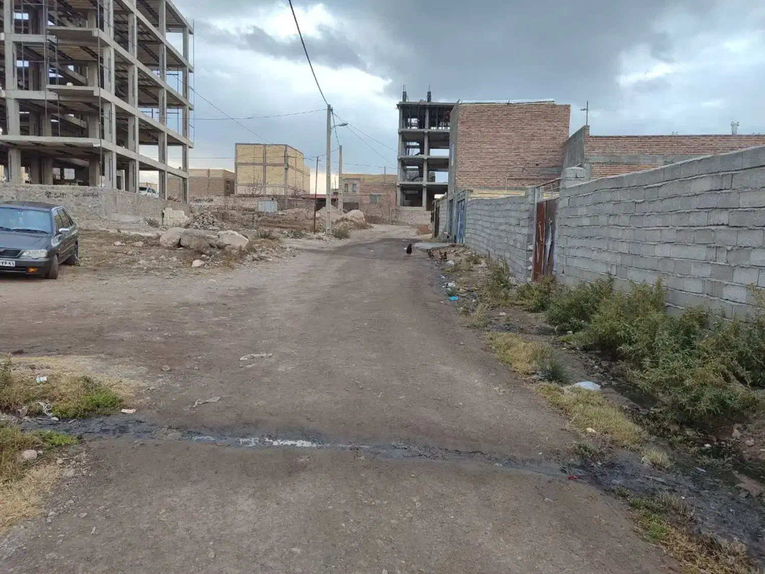 زمین حصارکشی شده|اجارهٔ دفتر صنعتی، کشاورزی، تجاری|مشگین شهر, |دیوار