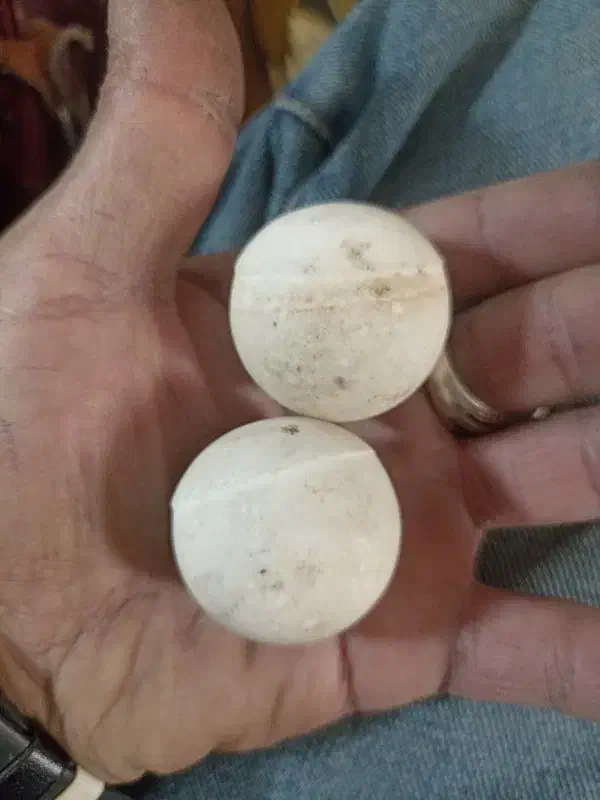 سنگ اسیاب|جواهرات|یزد, |دیوار