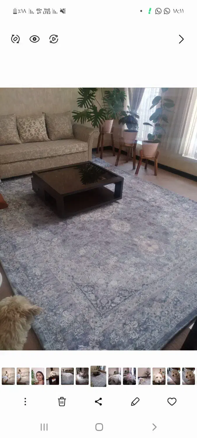 روفرشی|روفرشی|شیراز, گلشن|دیوار