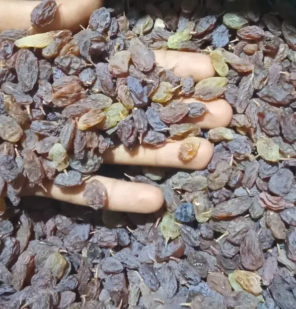 کشمش|خوردنی و آشامیدنی|یاسوج, |دیوار