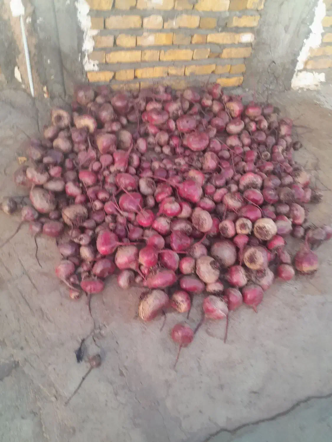 لبومحلی|خوردنی و آشامیدنی|نگار, |دیوار