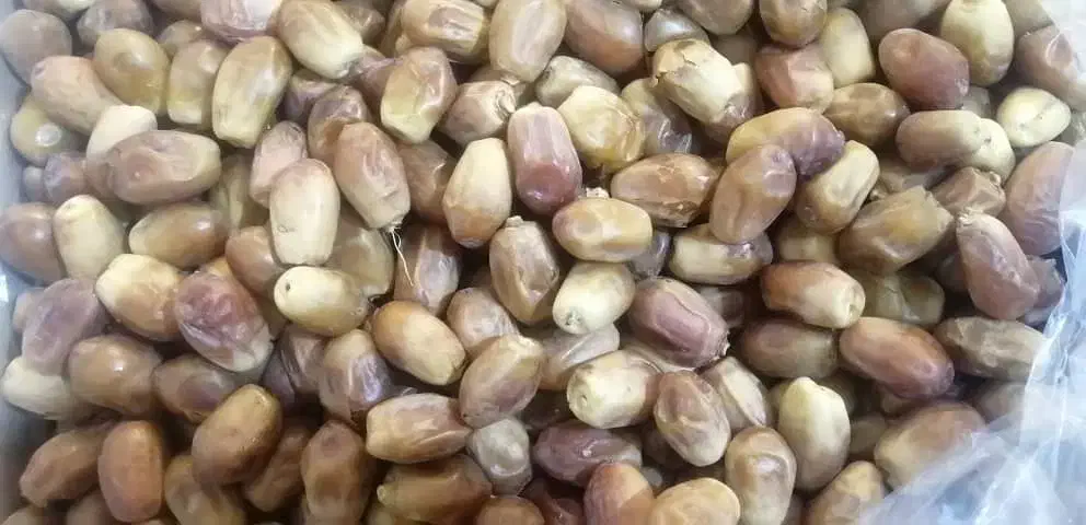 فروش و پخش خرما،۱۰درصد تخفیف تا شب یلدا|خوردنی و آشامیدنی|یزد, |دیوار