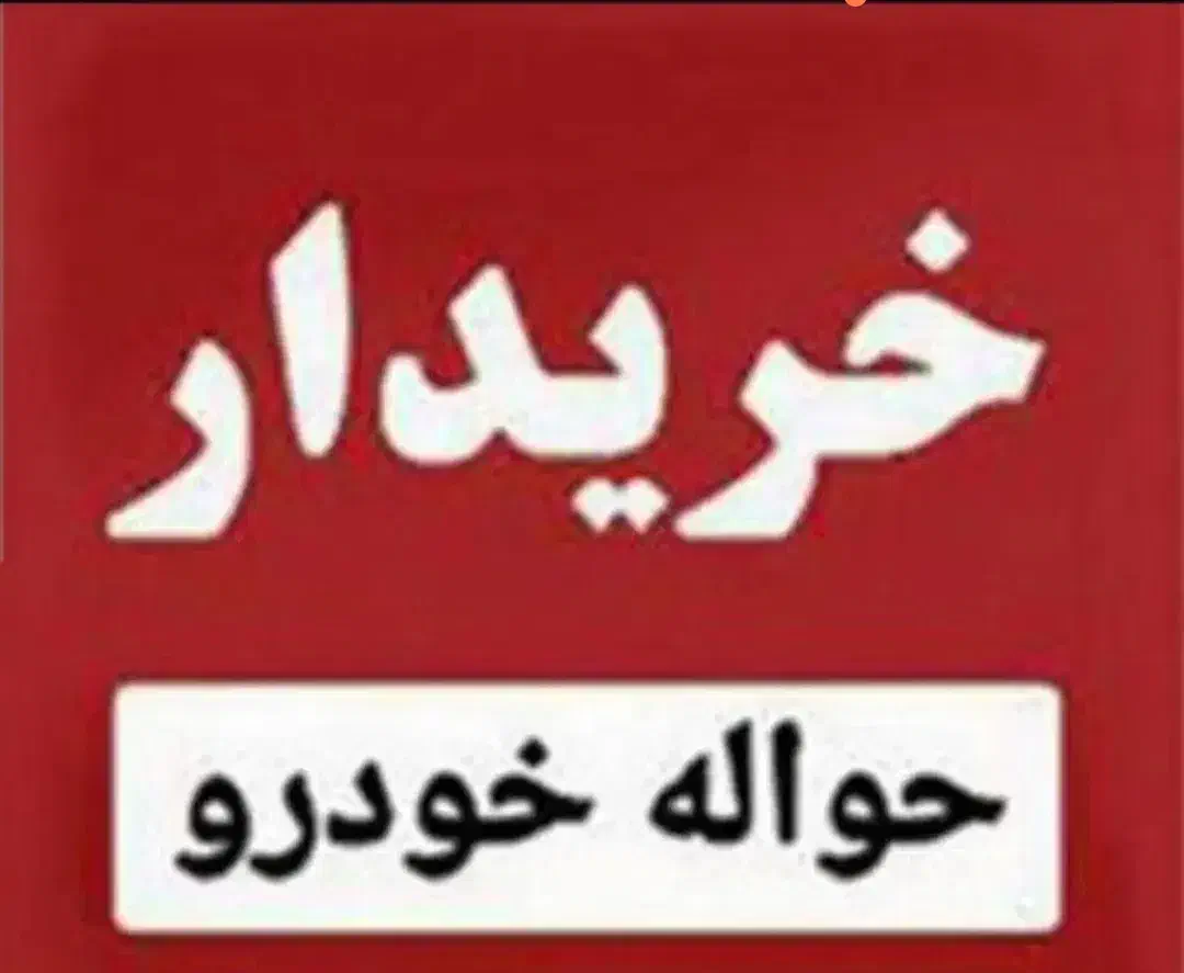حواله خودرو خریدارم|فعالیت داوطلبانه تحقیقاتی|نورآباد, |دیوار
