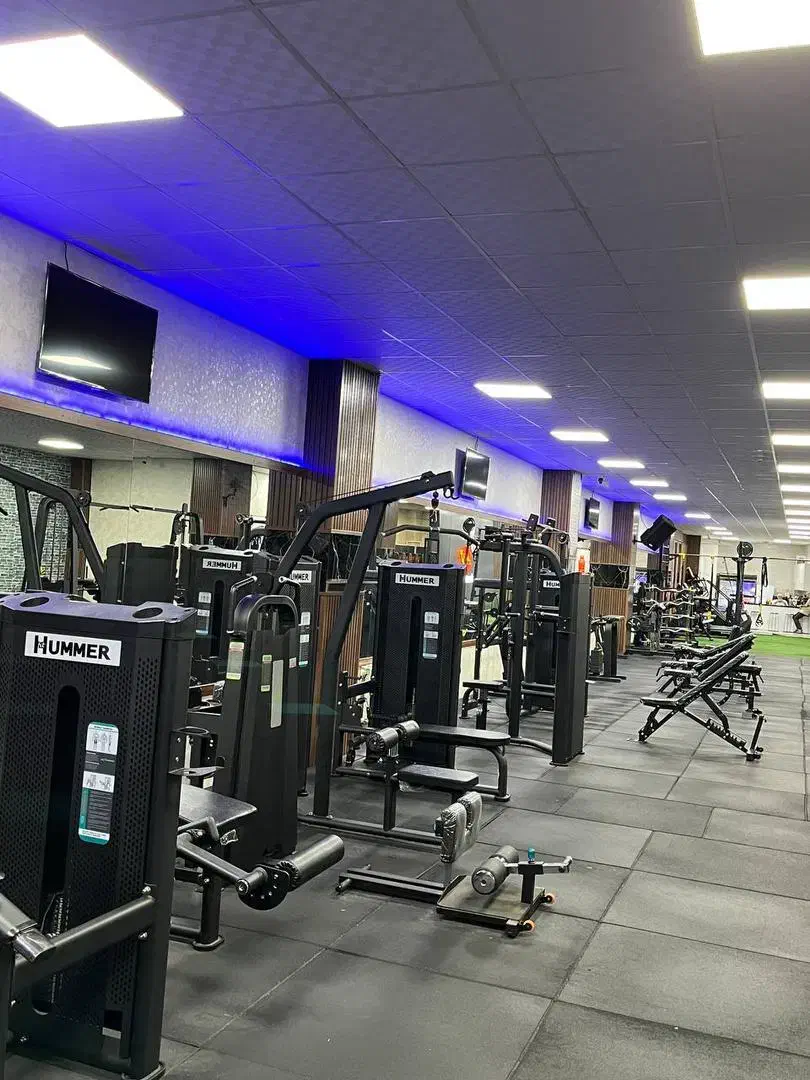 فروش تجهیزات بدنسازی|تجهیزات ورزشی|رشت, کاکتوس|دیوار