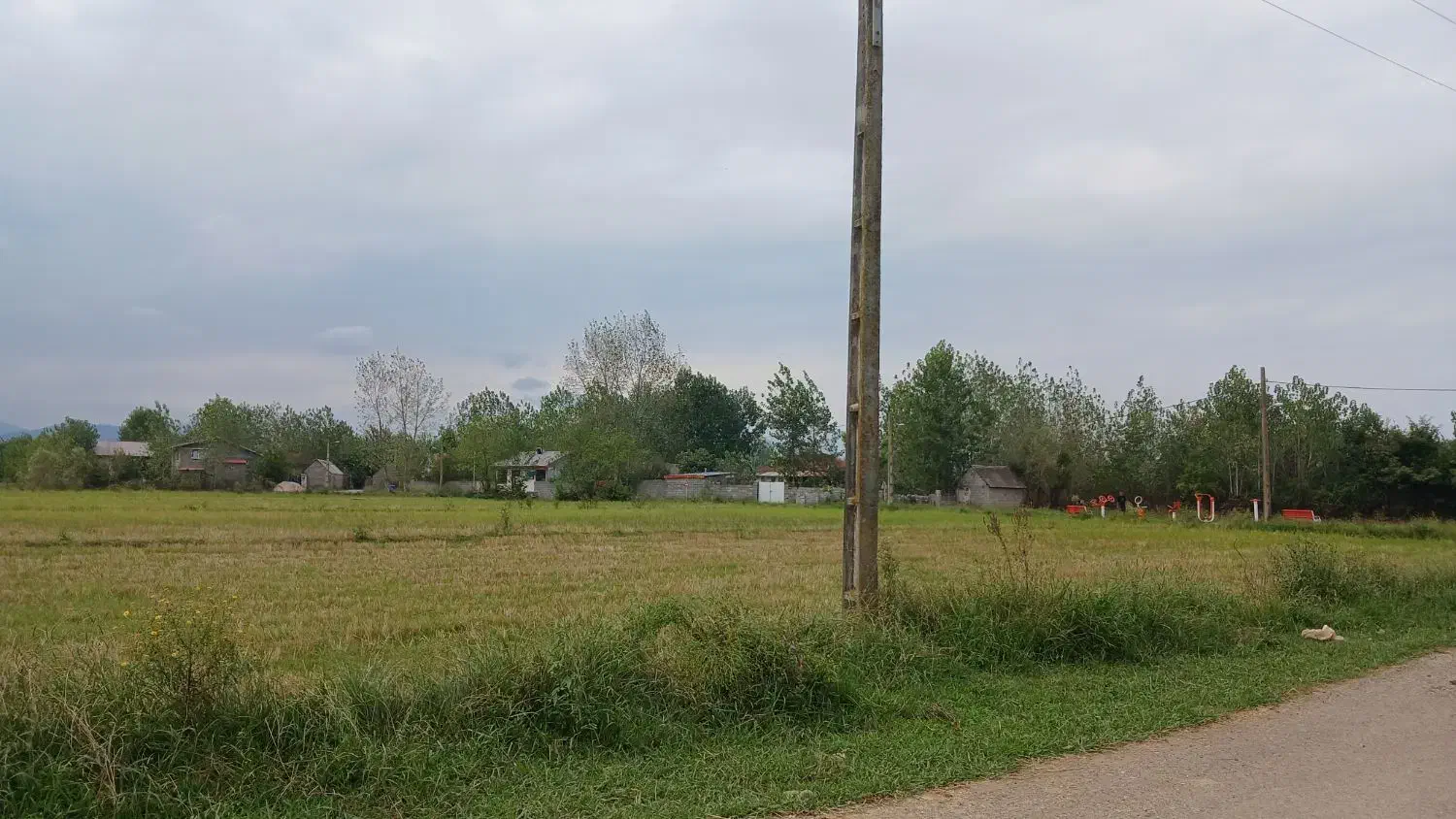 فروش زمین باغی کشاورزی|فروش زمین و ملک کلنگی|رضوانشهر, |دیوار