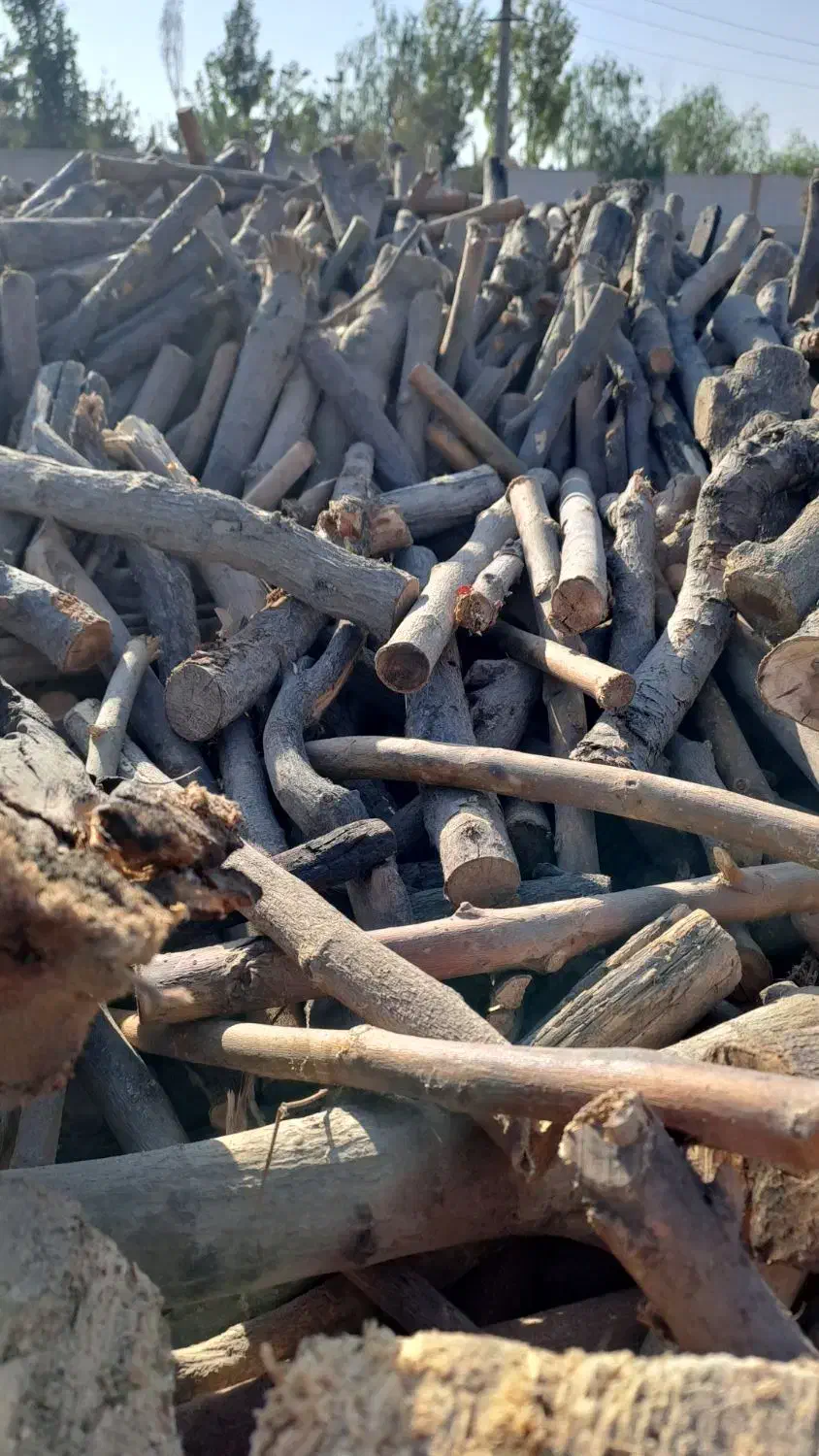 خریدار درخت خریدوبرش درختان|خدمات باغبانی و درختکاری|مشکین‌دشت, |دیوار