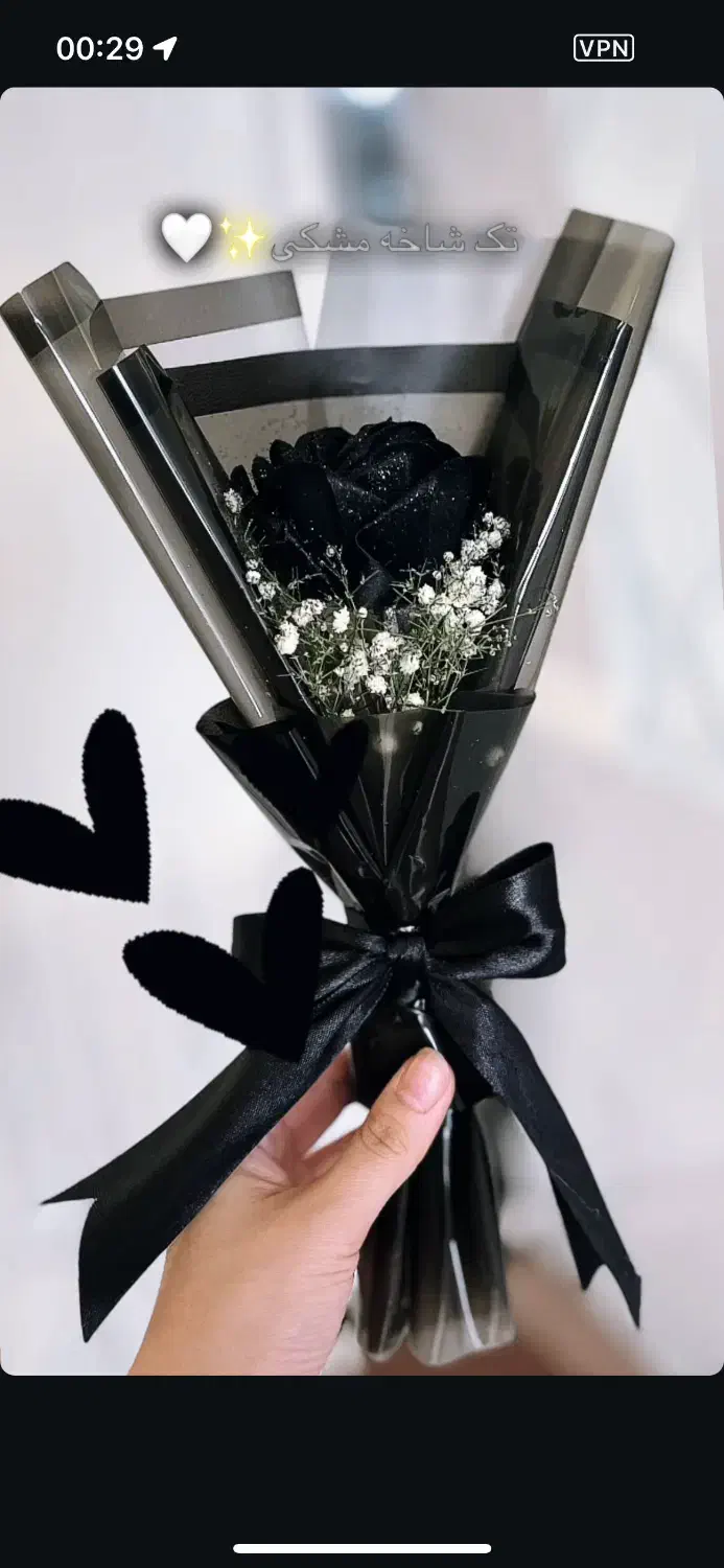 گل هدیه|گل و گیاه طبیعی|زابل, |دیوار