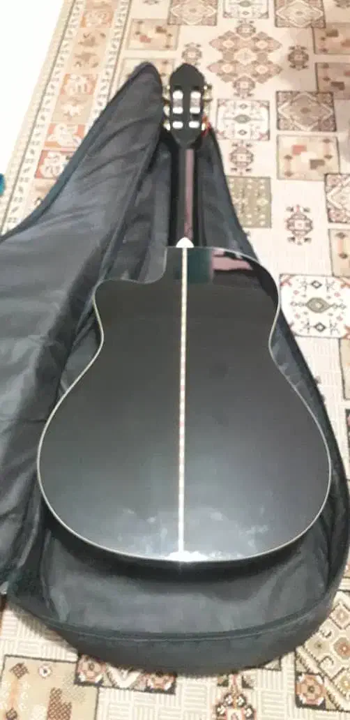 گیتار کلاسیک سانتانا پیکاپدار|گیتار، بیس، امپلیفایر|صدرا-فارس, فاز ۱|دیوار