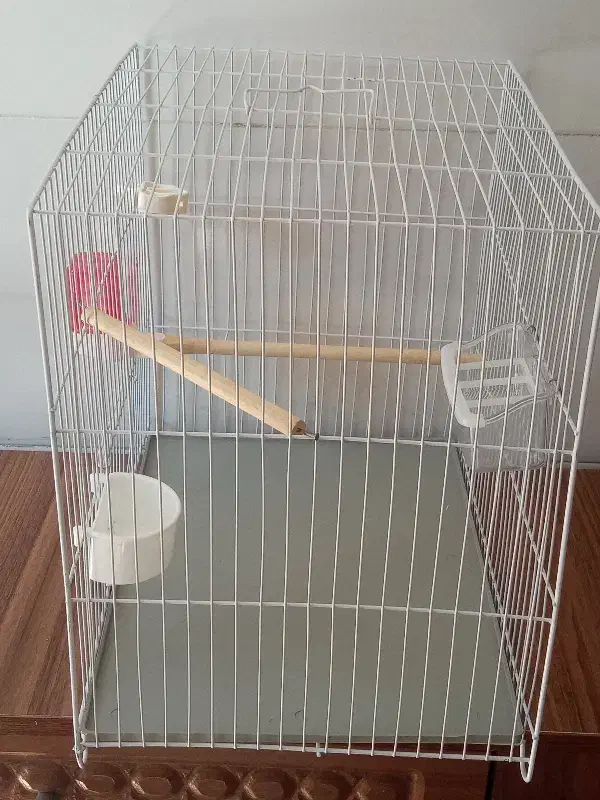 قفس|لوازم جانبی حیوانات|مشهد, خرمشهر|دیوار