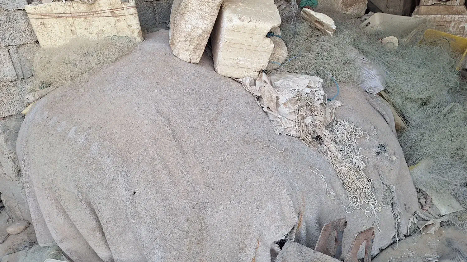 فروش تور کهنه|ماهیگیری|برازجان, |دیوار